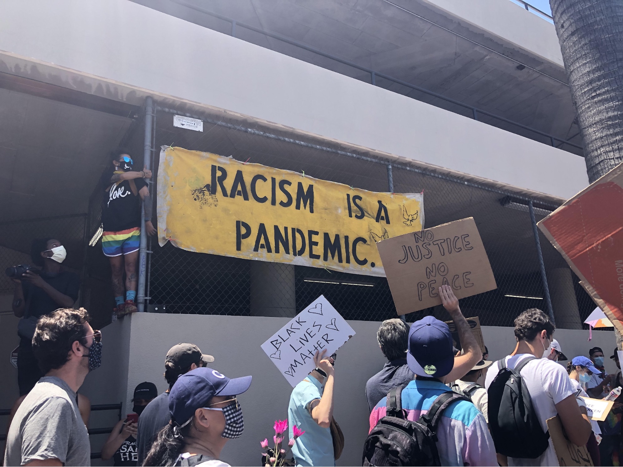 Pandemic Protesting